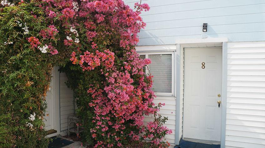 Stinson Beach Motel エクステリア 写真